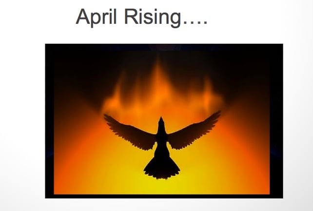 April_IMR_Team_Meeting_Theme_jpeg.jpg